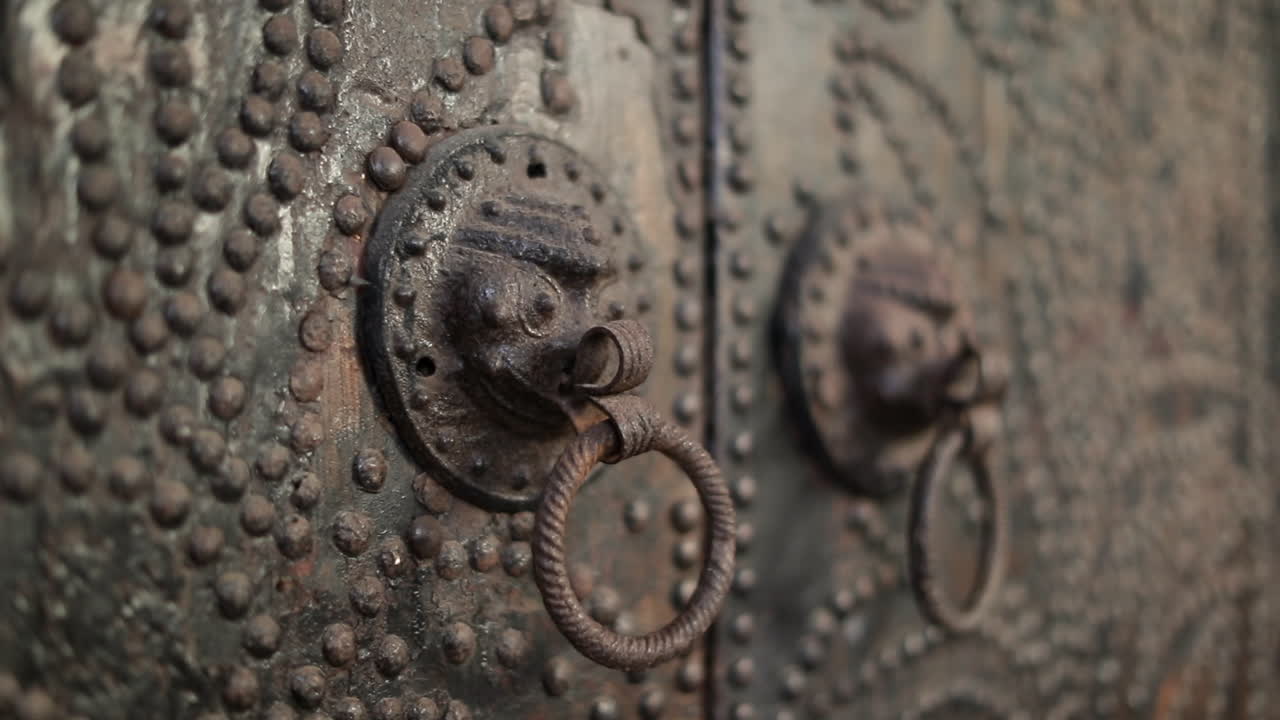 Brass door knob rings on solid wooden door, close up