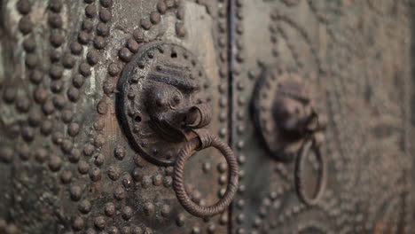 brass door knob rings on solid wooden door, close up