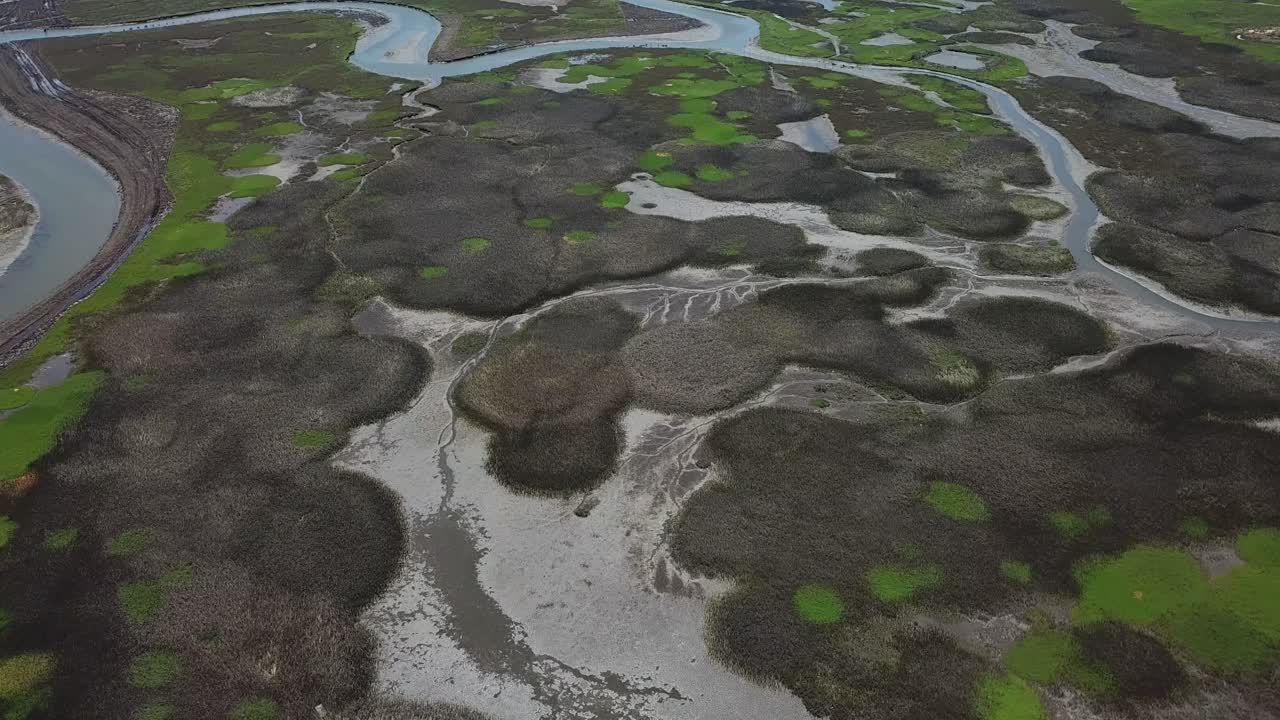 vista de un dron volando sobre un campo verde con un río inclinando hacia abajo la vista