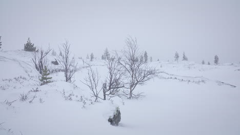 a snowy landscape with sparse bare trees surrounded by dense fog, creating a tranquil winter atmosphere.