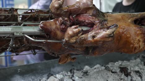 cerdo asado en una saliva