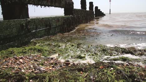 defensa del mar espigón. harwich. essex. reino unido 2022