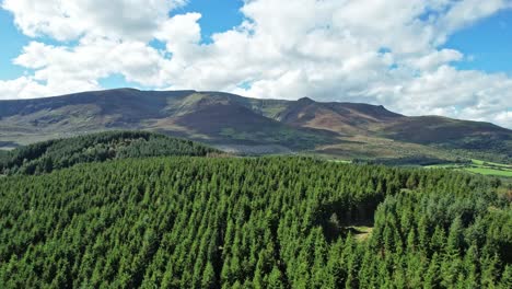 ireland mountains the comeragh range drone flying to the hills over a forestry plantation late on a summer evening