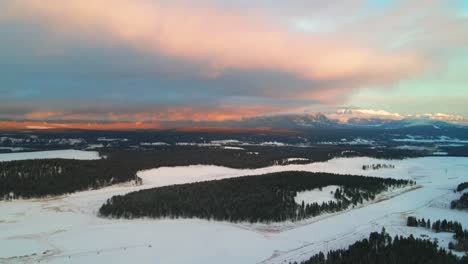 the canadian rocky mountains in winter: a sunset aerial view of a snowy forest