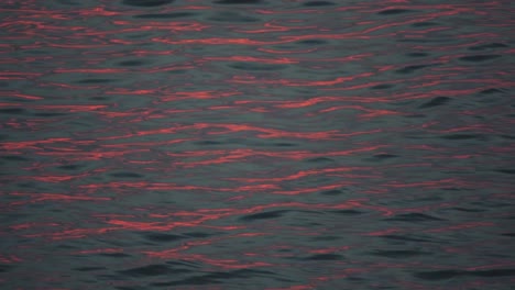 reflections on the water of the sunset during golden hour