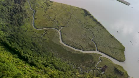 aerial pan down of small river waterways pattern, squamish, british columbia, canada