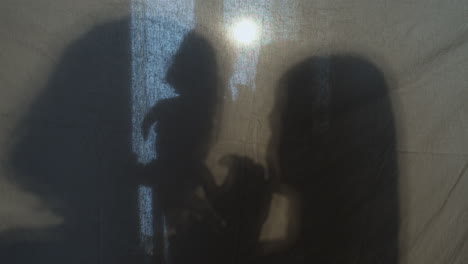 Silhouettes-of-couple-kissing