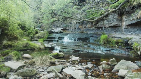 small waterfall in the depths of a lush green forest. middle black clough waterfall, derbyshire.