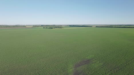 aerial footage of long green field with beautiful landscape in usa.