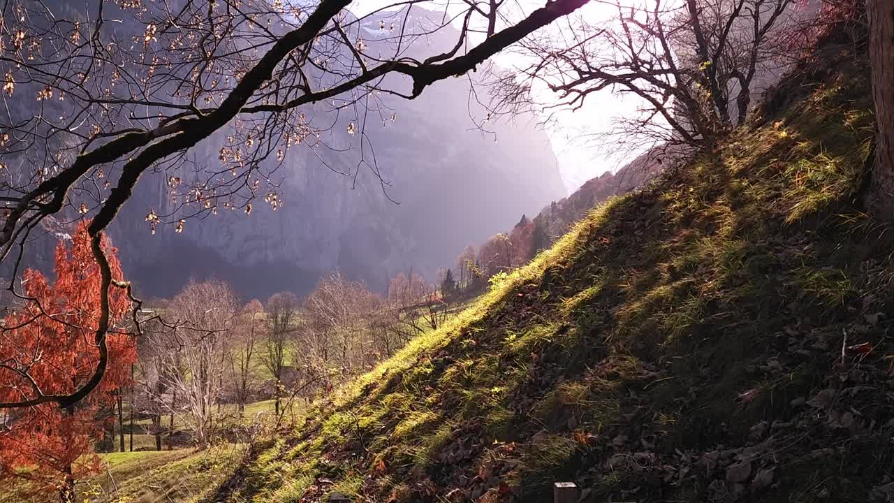 秋の山間の谷。オレンジの木が立ち並び、太陽の光が輝く幻想的な風景。