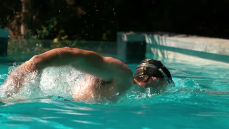 fit man swimming in the pool