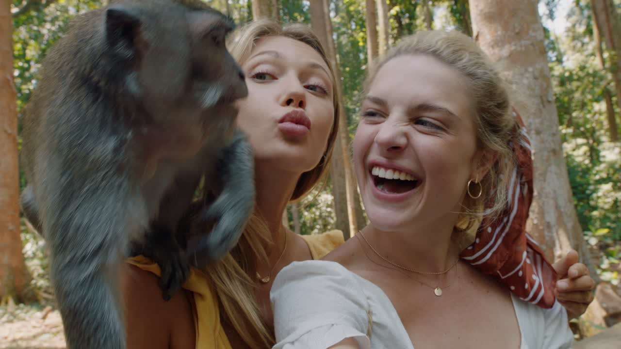 두 명의 여성이 스마트폰 비디오 채팅을 사용하여 어깨에 앉아 있는 원 ⁇ 이와 포즈를 취하고 가장 친한 친구들이 원 ⁇ 이들과 즐거움을 나누고 야생 동물원에서 모험을 나누고 관광객들이 발리를 여행합니다.