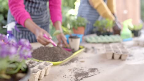 mid section of african american couple in aprons planting in sunny garden, slow motion