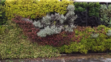 Vertical-garden-with-mediterranean-plants-located-in-EUR-a-distric-of-Rome,-capital-of-Italy