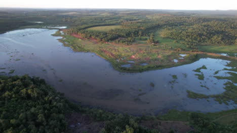 birdseye, upward tilting drone clip over deep green jungle and yabebiry river during late afternoon, with vast extension of jungle, wildlife and distant horizon in back.