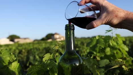 wine being poured into a bottle in vineyard