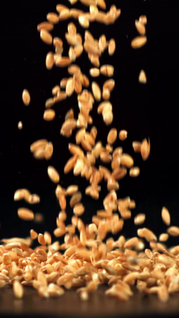 Chicchi di grano dorati che si riversano su sfondo nero