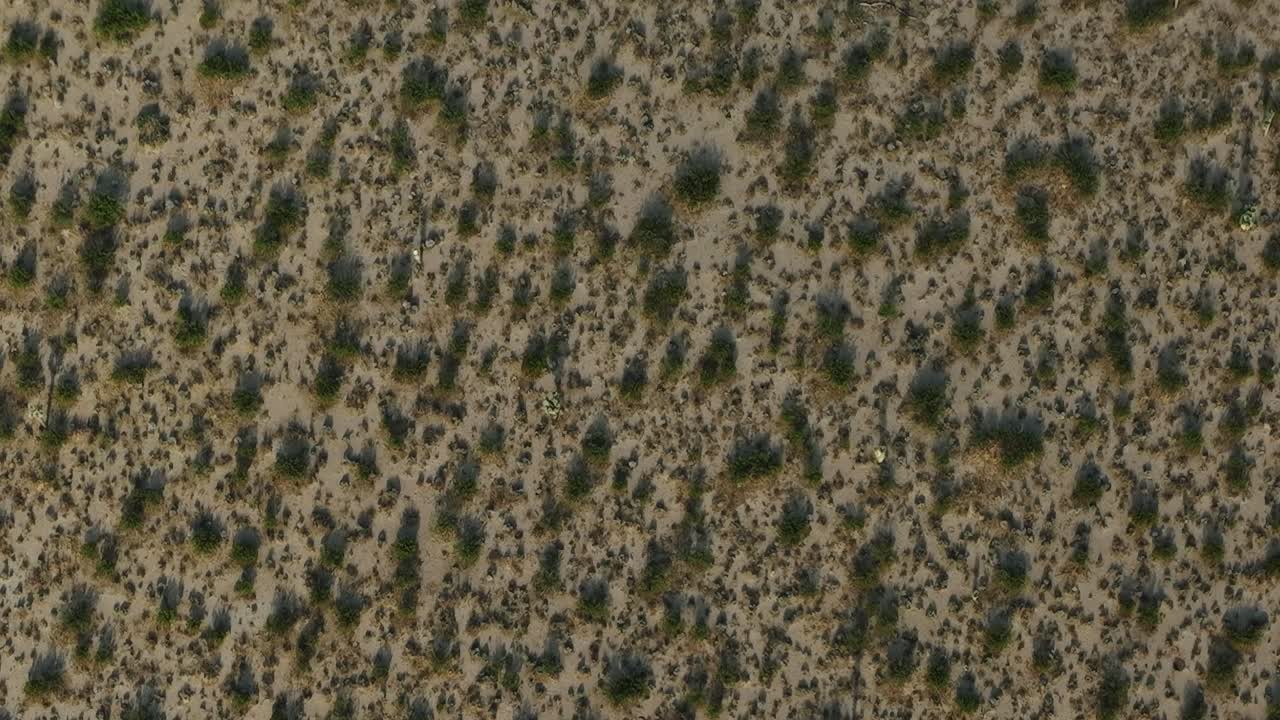Aerial view of natural landscape in the USA showing plants and ground