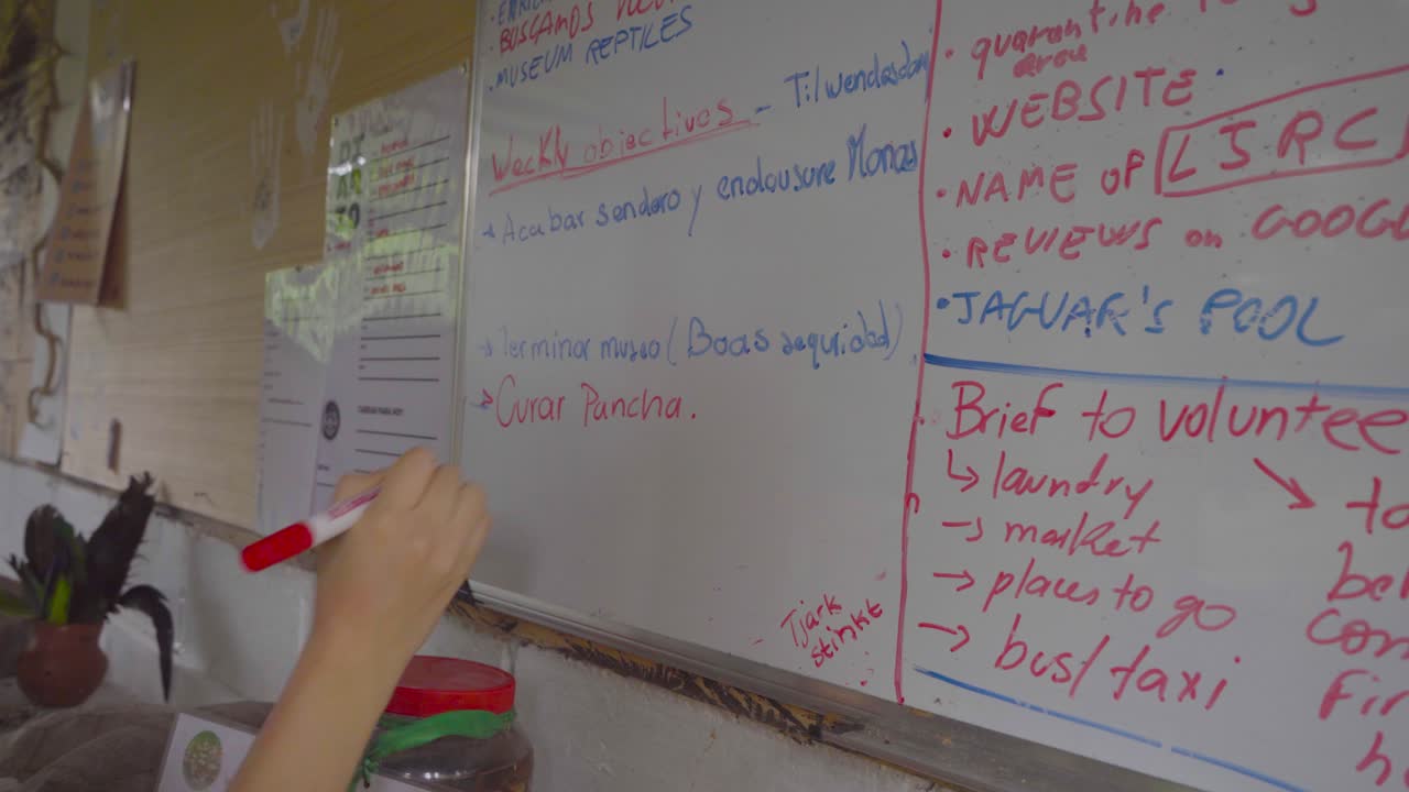 A volunteer writes on a whiteboard to plan activities and organize tasks at a wildlife rescue center. A collaborative and educational scene of teamwork and coordination.
