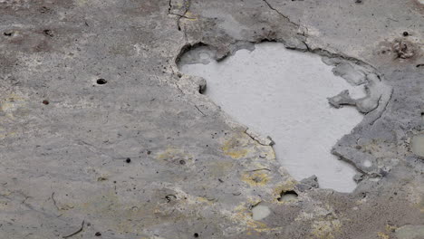 bubbling geothermal water in primordial looking hot spring feature