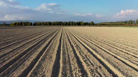 plowed field fly over drone shot, soil in the sun ready for seeding, tree line background