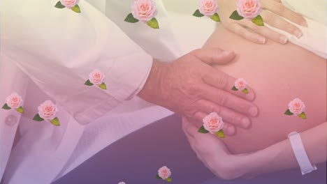 임산부 백인 여성이 남성 의사에 의해 배를 검사하는 핑크 장미의 애니메이션