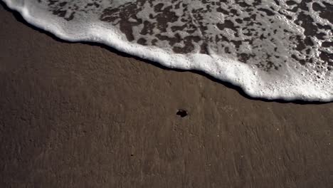 olas espumosas rompiendo en la orilla de una playa de california