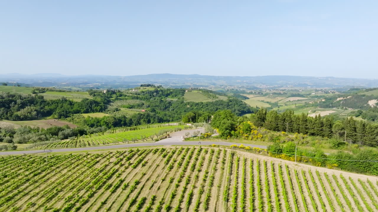 Drone flying sideways over a idyllic vineyard, nature landscape, summer in Tuscany