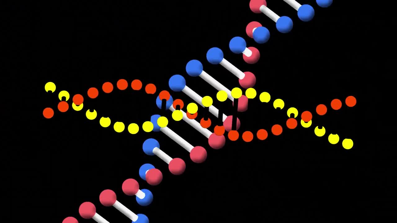 검은색 배경과 분홍색 원 위에 두 개의 회전하는 dna 가닥의 애니메이션