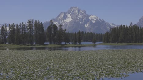 slow tilt up to tall mountains above a calm pond in western wyoming