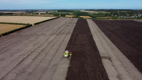 combine harvester harvesting feed beans, with a village in the background
