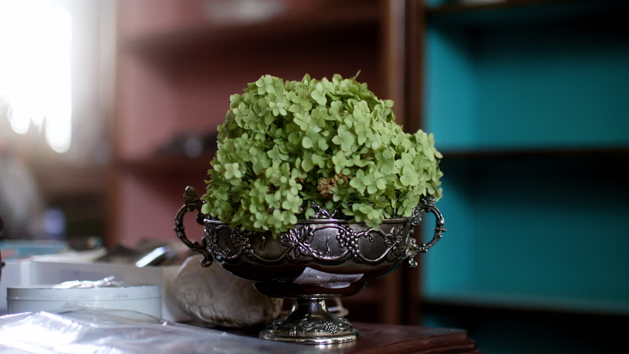 꽃병 에 있는 식물 의 가까운 모습