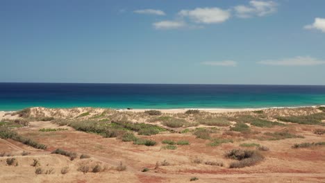 beach shot in porto santo, madeira, portugal