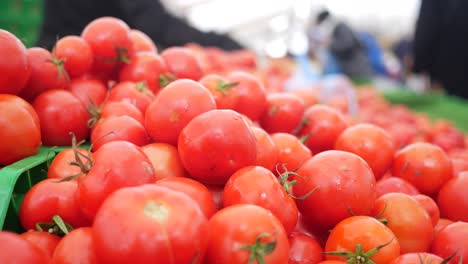 close up of fresh red tomatoes at a market