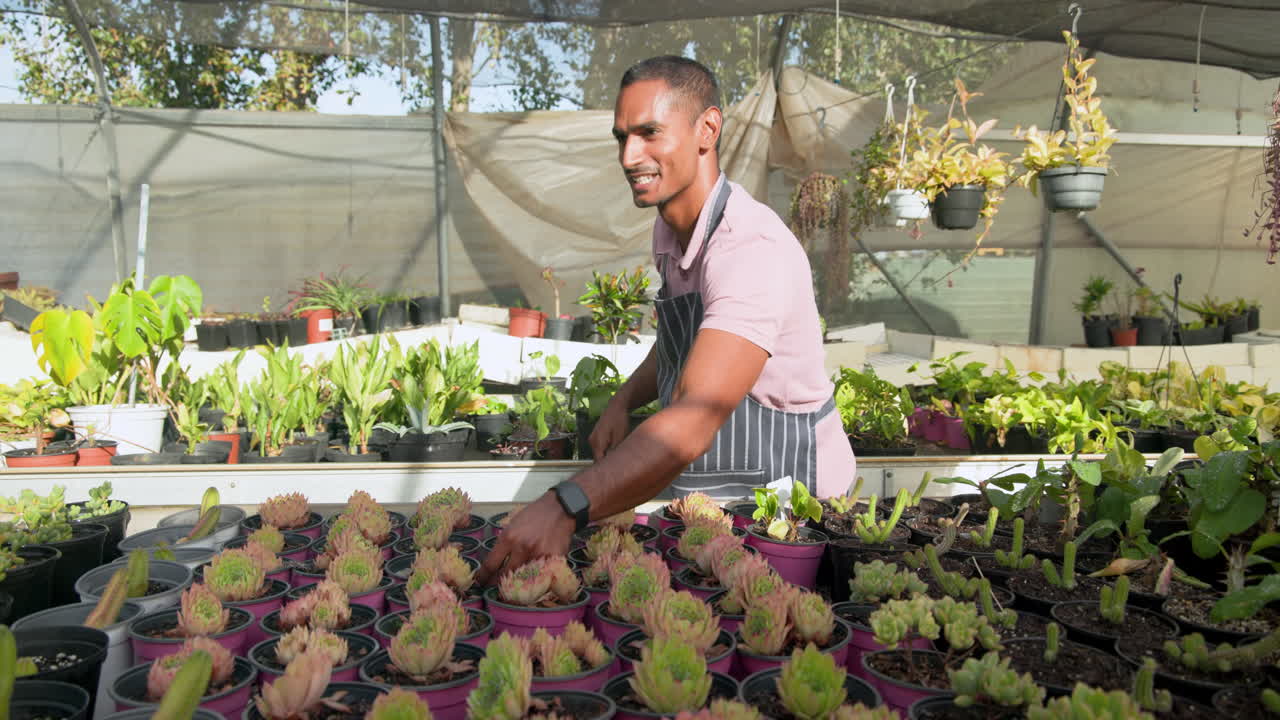 Gardener in apron tending to succulents in greenhouse, enjoying sunny day