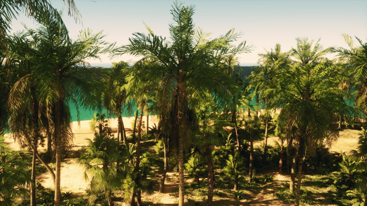 playa tropical con palmeras