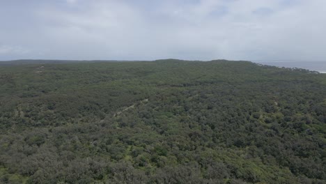 George-Nothling-Drive-Naturschutzgebiet-Mit-Dichtem-Dickicht-Auf-North-Stradbroke-Island,-Queensland,-Australien