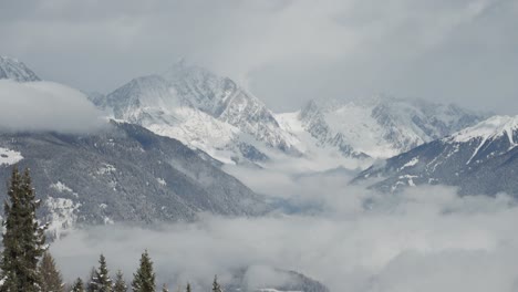 a peaceful winter forest stretches to meet hazy mountain tops in this tranquil landscape. parallax video.