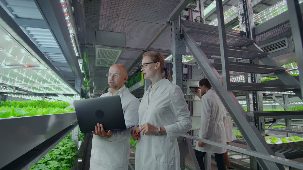 A team of scientists explores vegetables grown in vertical farms using computers and tablets. Vegetable farm of the future fresh and clean products without GMO.