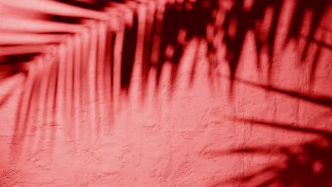 shadow of palm leaves on textured red plaster wall with natural sunlight. tropical plant silhouette on stucco surface. design for wallpaper, banner, postcard, greeting card, poster, vertical