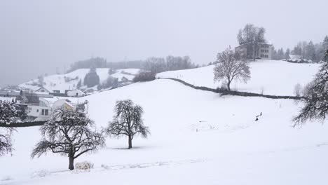 Dos-Niños-Divirtiéndose-Y-Bajando-En-Trineo-Por-Una-Colina-Nevada-En-Suiza