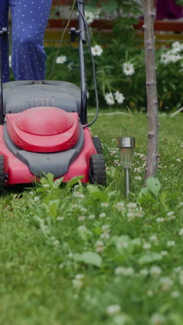 woman cutting grass in his yard with corded electric lawn mower. vertical video