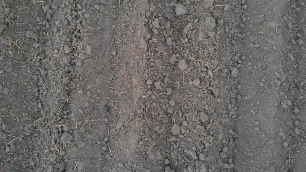 vista del campo agrícola recién arado para plantar cultivos estacionales en punjab, india