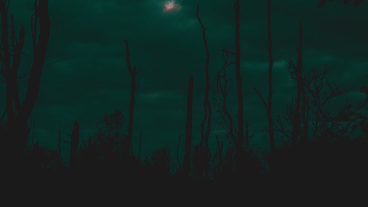 lapso de tiempo de día a noche