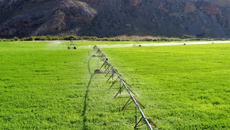 Aerial-push-over-a-pasture-sprinkler