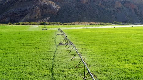 empuje aéreo sobre un rociador de pasto
