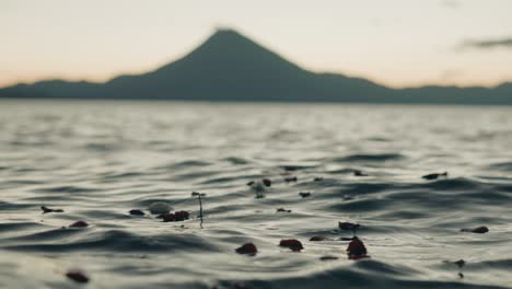 cinematic shot of flowers and perals floating on sea lagoon water with island in background, depth of focus