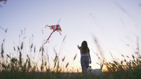 young happy woman and het little dog with flying kite on a glade at sunset, low angle view