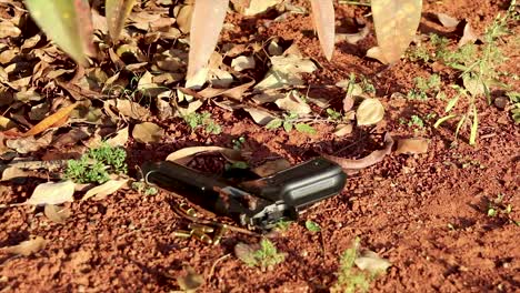 a black hand gun firearm is placed on a sandy floor next to live ammunition surrounded by plants