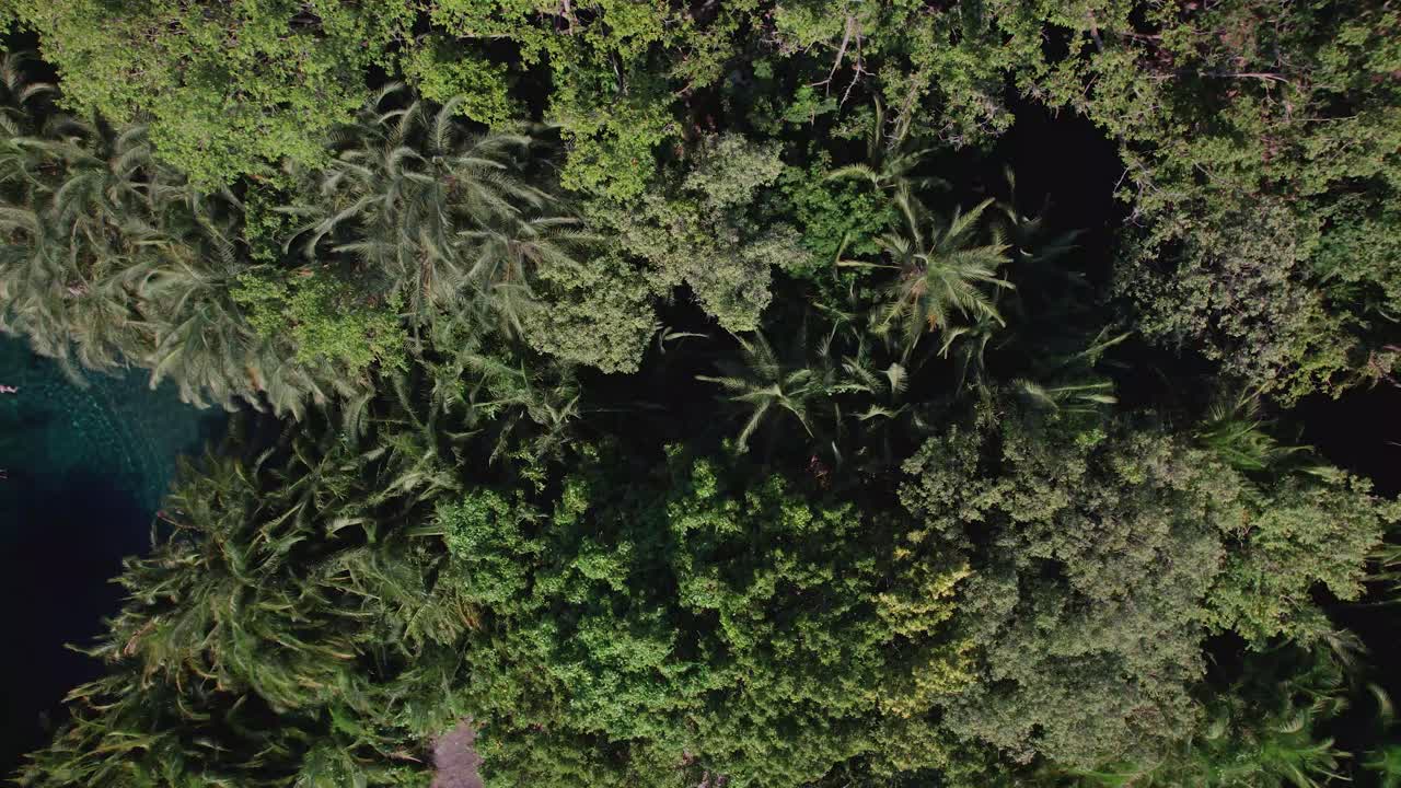 turistas nadando en las aguas termales de chemka en moshi, tanzania
